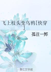 ƻ飬Ʒܲó